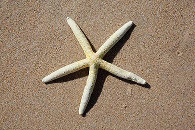 《无人深空》4.0更新更注重于Switch版